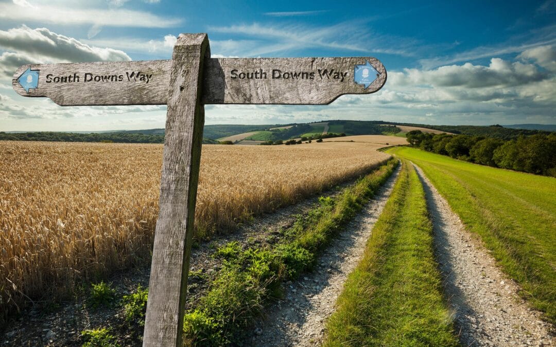 The South Downs Way 100, or reflections on being a dot