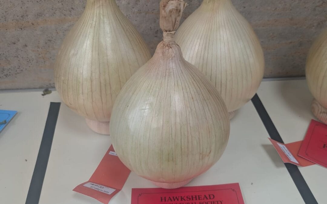 Hawkshead Show fell race